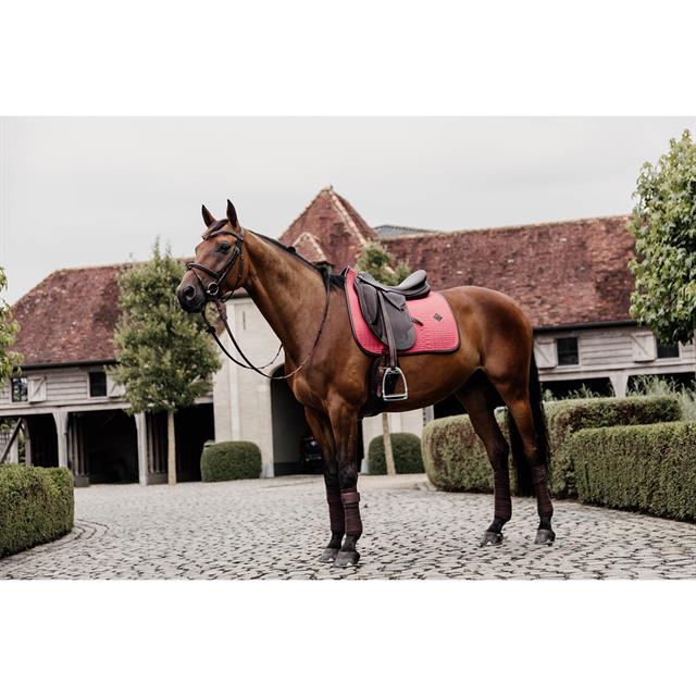 Schabracke Color Edition Leather Kentucky Rosa