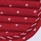 Schabracke EJValentine Dressur Epplejeck Rot