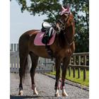 Schabracke Florence QHP Rosa