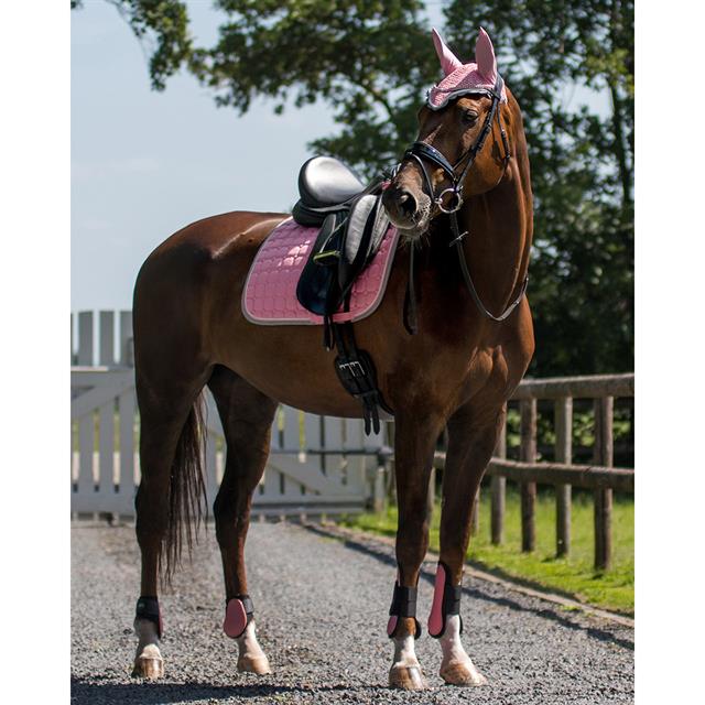 Schabracke Florence QHP Rosa