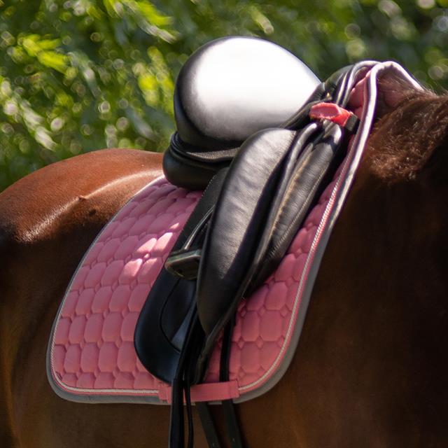Schabracke Florence QHP Rosa