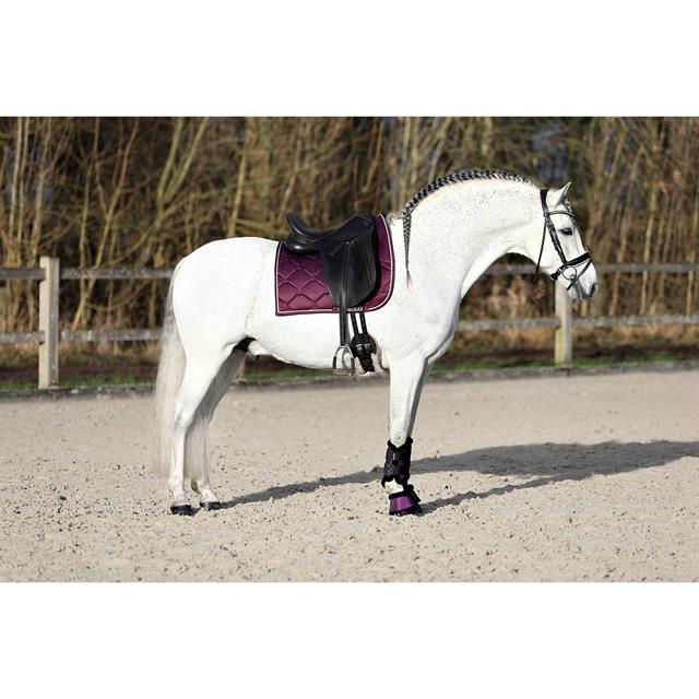 Schabracke HGBayesa HORSEGEAR Dunkellila