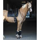 Schabracke HGBayesa HORSEGEAR Schwarz