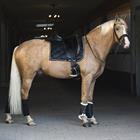 Schabracke HGBayesa HORSEGEAR Schwarz