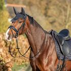 Schabracke HGWareham Dressur HORSEGEAR Dunkelblau