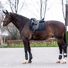 Schabracke HVPEssential Dressur HV POLO Schwarz