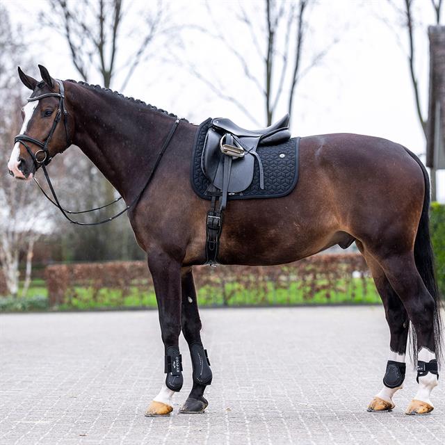 Schabracke HVPEssential Dressur HV POLO Schwarz