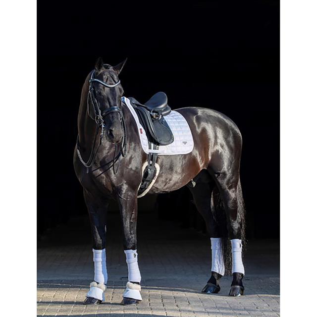 Schabracke Loire Dressage Square LeMieux Weiß