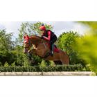 Schabracke Loire Square Close Contact LeMieux Rot