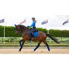 Schabracke Loire Square Dressur LeMieux Blau