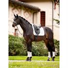 Schabracke Merino+ Half Lined Dressur LeMieux Weiß-Weiß