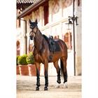 Schabracke Merino+ Half Lined Suede Dressur LeMieux Schwarz
