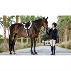 Schabracke Merino+ Hunter LeMieux Weiß
