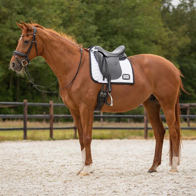 Schabracke Nummer Dressur QHP Weiß-Black