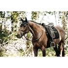 Schabracke Pearls Dressage Kentucky Schwarz
