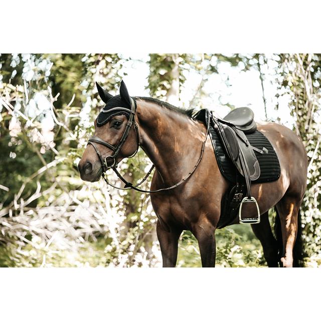 Schabracke Pearls Dressage Kentucky Schwarz