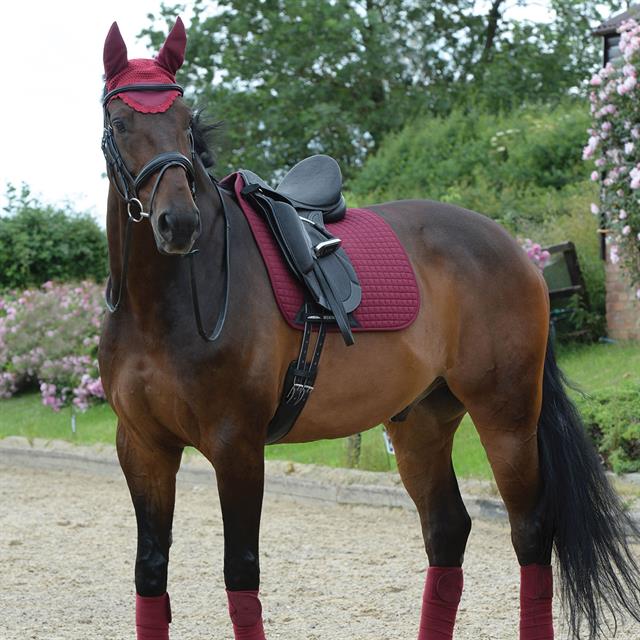 Schabracke Prime Dressage WeatherBeeta Dunkelrot