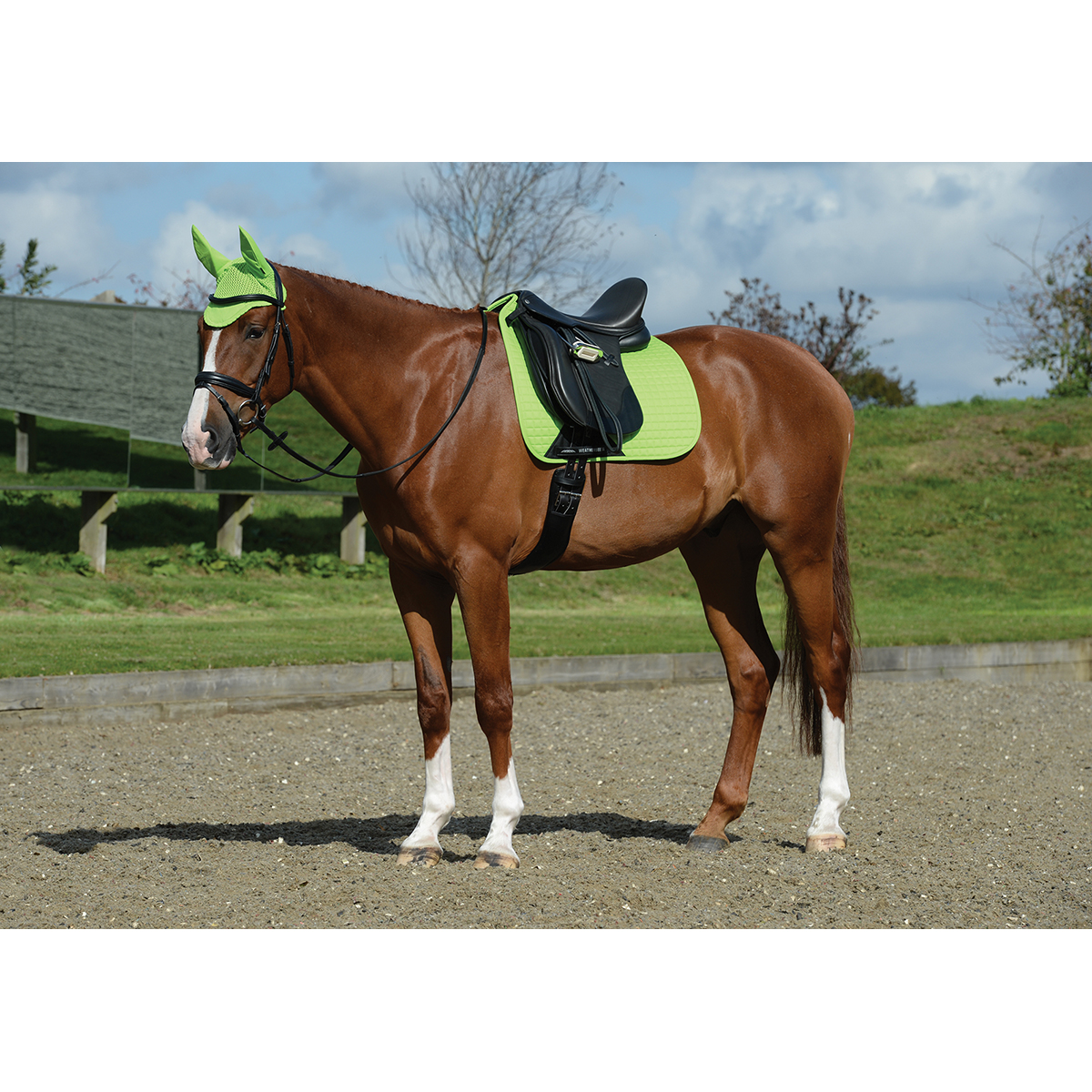 Weatherbeeta dressage boots cheap