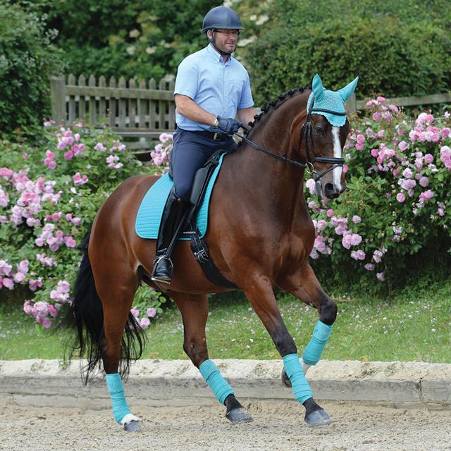 Schabracke Prime Dressage WeatherBeeta Türkis