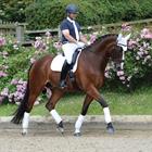 Schabracke Prime Dressage WeatherBeeta Weiß