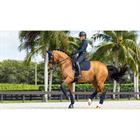 Schabracke Prosorb Plain 2 Pocket Dressur LeMieux Dunkelblau