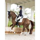 Schabracke Prosorb Plain 2 Pocket Dressur LeMieux Weiß