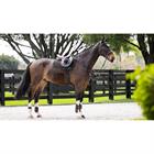 Schabracke Prosorb Plain 2 Pocket Gp Square LeMieux Schwarz