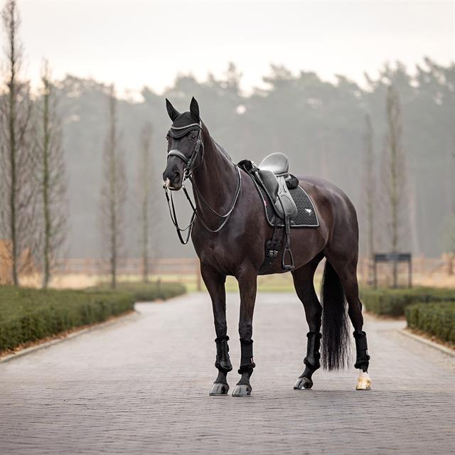 Schabracke Puissance Suede LeMieux Schwarz