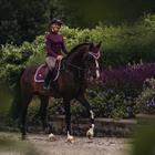 Schabracke Purple White Edge Equestrian Stockholm Lila