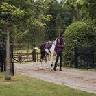 Schabracke Purple White Edge Equestrian Stockholm Lila