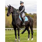 Schabracke Self-Cool Close Contact Square LeMieux Blau