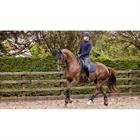 Schabracke Soft Shell Anti Slip Dressur LeMieux Dunkelblau