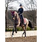 Schabracke Soft Shell Anti Slip Dressur LeMieux Dunkelrot