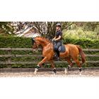 Schabracke Soft Shell Anti Slip Dressur LeMieux Schwarz