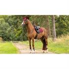 Schabracke Softshell Anti Slip Cc Square LeMieux Dunkelrot