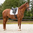 Schabracke Sparkle Dressur QHP Weiß
