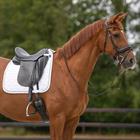 Schabracke Sparkle Dressur QHP Weiß
