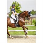 Schabracke Twill Dressur Anky Weiß-Dunkelblau