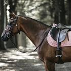 Schabracke Velvet Kentucky Mittelrosa