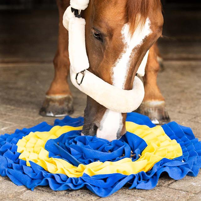 Schnüffelteppich Schnüffelmatte QHP Gelb-Blau