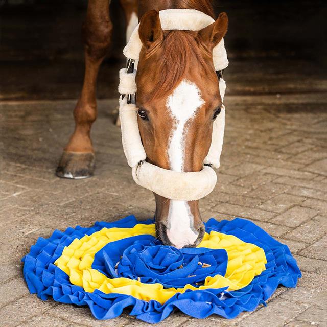 Schnüffelteppich Schnüffelmatte QHP Gelb-Blau