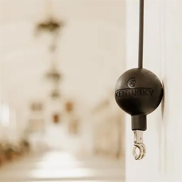 Schutzball Kentucky Schwarz
