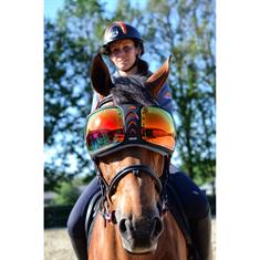 Schutzbrille Evysor Rainbow eQuick Mehrfarbig