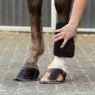 Schwamm Equi Super Shiner QHP Schwarz