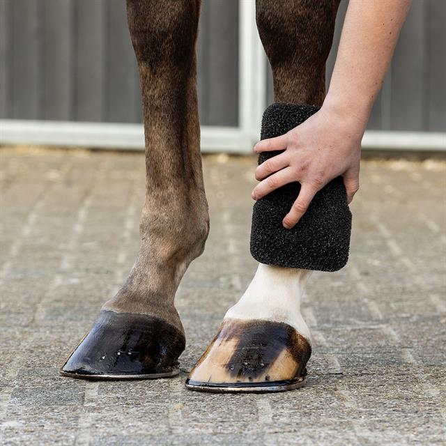 Schwamm Equi Super Shiner QHP Schwarz