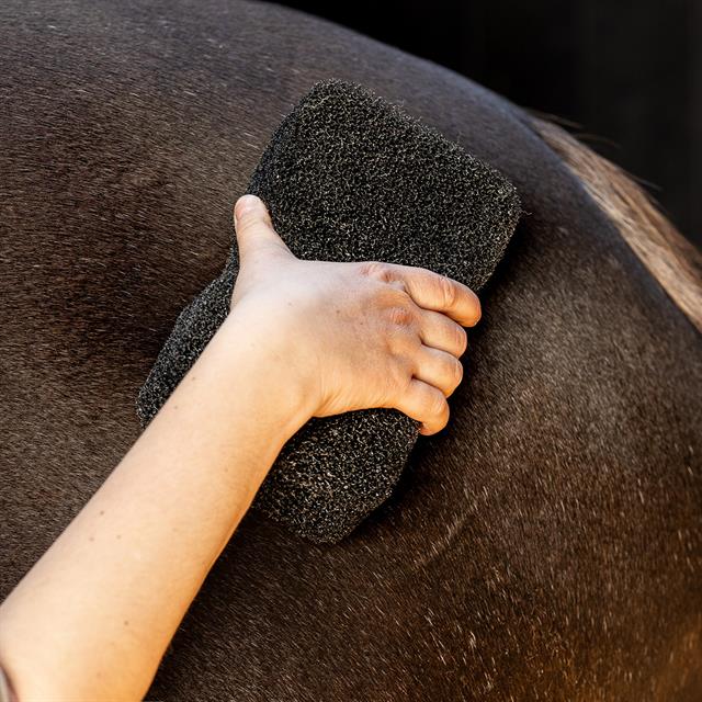 Schwamm Equi Super Shiner QHP Schwarz