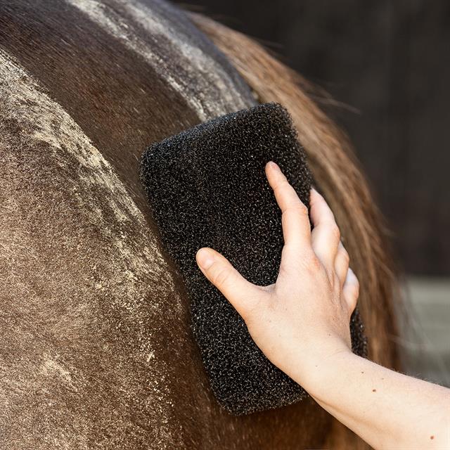 Schwamm Equi Super Shiner QHP Schwarz