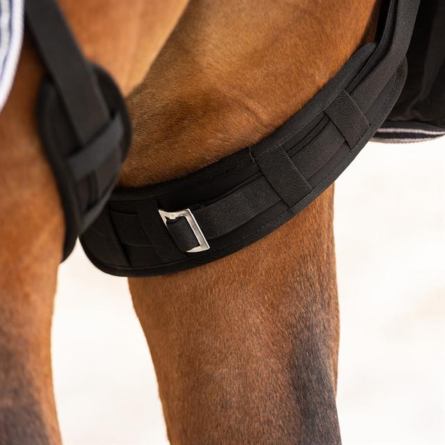 Schweifriemen 2er-Pack QHP Schwarz