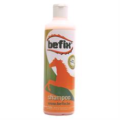 Shampoo + Conditioner Befix