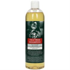 Shampoo Teebaumöl Grand National Sonstige